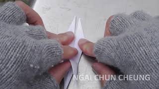 Origami Crane 01695 on 20150714 part 037 via Hague