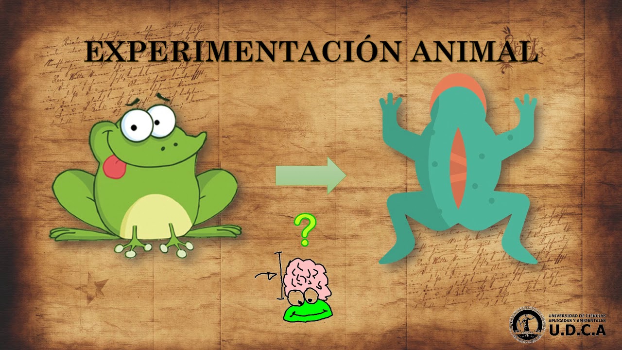 MEDICINA EN EL SIGLO XIX