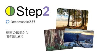 Deepmosaicチュートリアル動画 2