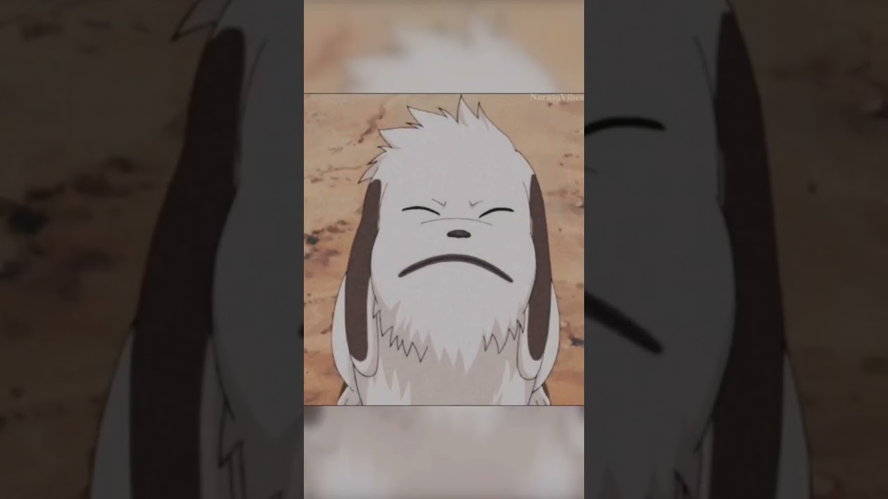 Akamaru 