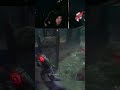 Why the Z wall is the best tile in dbd #dbd #deadbydaylight #dbdshorts