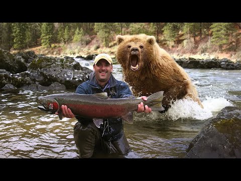 The Worst Bear Attack You Will Ever Hear About