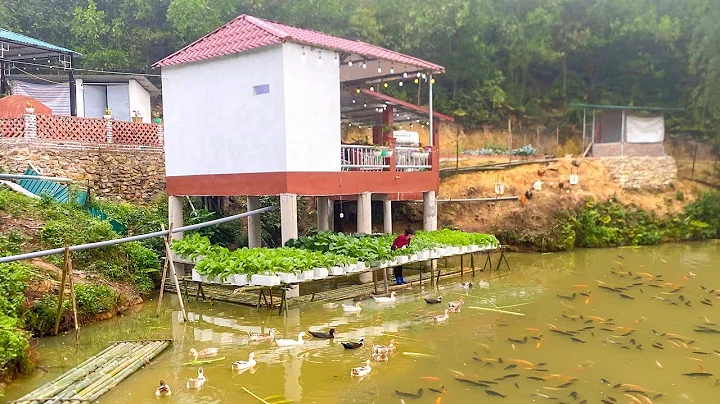 Building Hydroponic Garden on a Fish Pond | Self-Sofficient Living. Ly Hong Quan