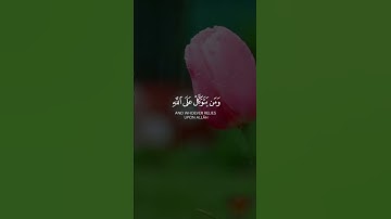 تلاوة من سورة الطلاق القارئ رعد الكردي