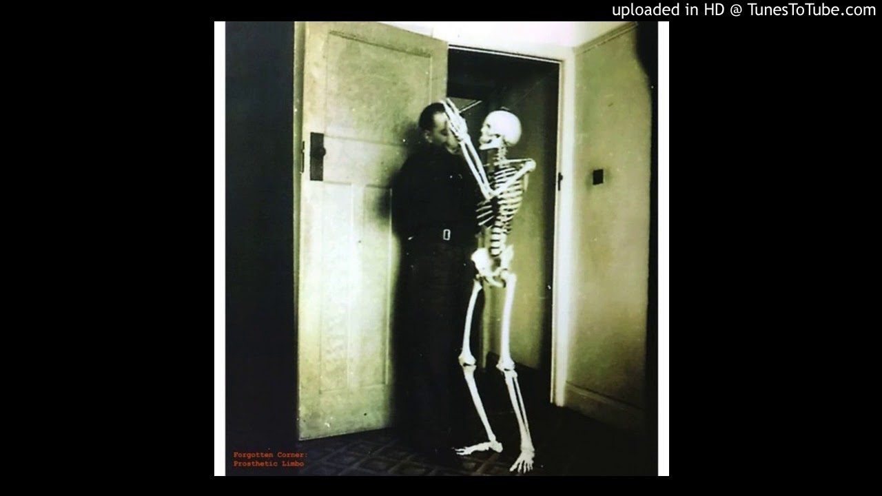 Forgotten Corner - Prosthetic Limbo (Cassini Division remix)