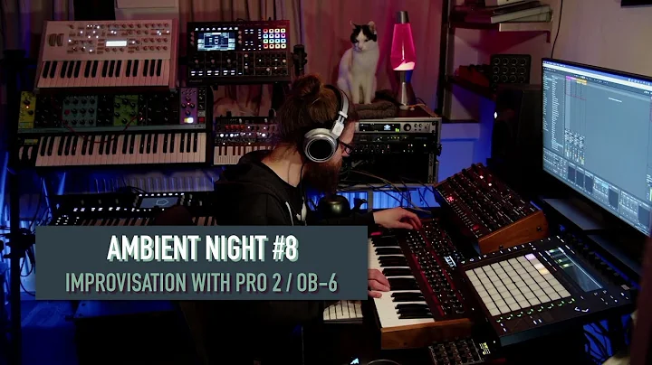 Ambient Night #8 - Improvisation with Pro2, OB-6 a...