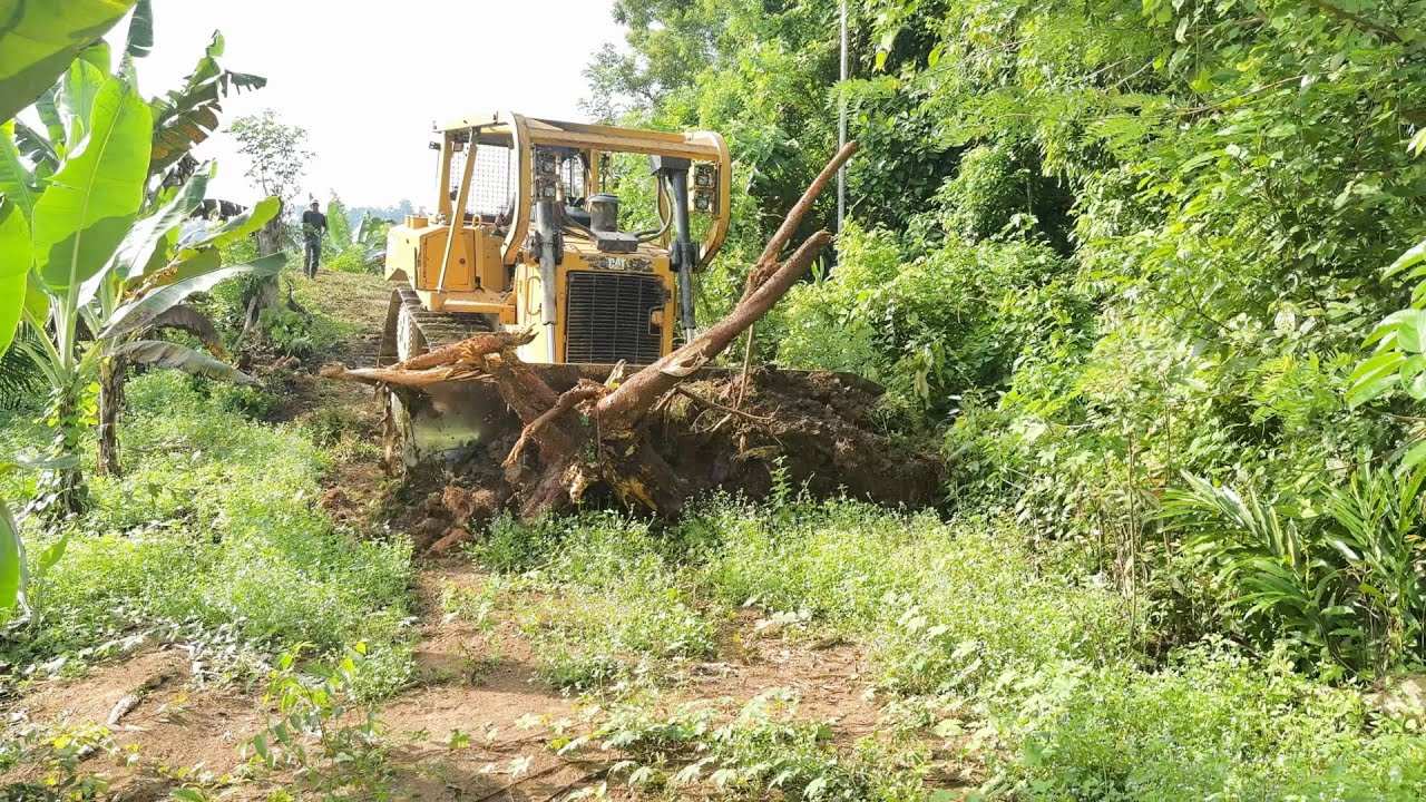 Caterpillar D6R XL bulldozer operator is very good at working to smooth plantation roads