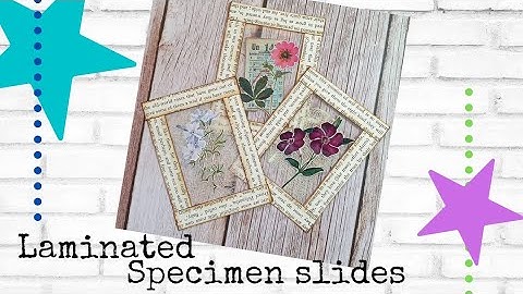 Make your own laminated specimen slides, using up vintage book pages, making ephemera