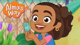 Almas Way Socks For Sale