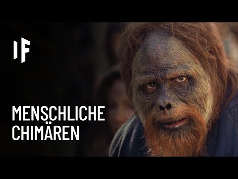 Video: Warum können sich Tiere nicht kreuzen?