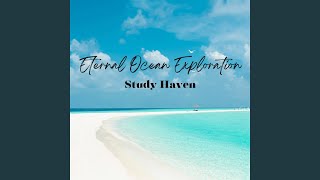 Calm Beachside Study Oceanic Wisdom