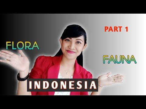 Flora dan Fauna Indonesia (Materi Geografi Kelas XI) Part 1