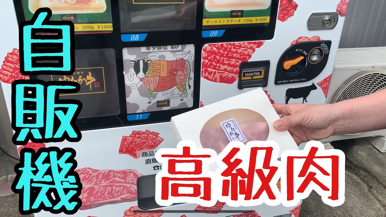 珍自販機 超高級自動販売機 愛知県豊田市にありました Youtube