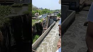 How Delhi Sewage Enters STP? | Inlet Chamber on Site for Phase-I, Phase-II & Phase-III #shorts #stp