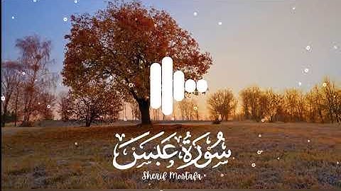best quran tilawat in the world  سورة عبس تلاوة جميله وهادئة💙