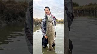 King salmon fishing at Samish River #fishing #salmon n