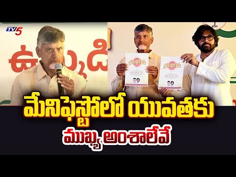 యువతకు అదిరిపోయే ఆఫర్.. | Chandrababu Announced Special Scheme To AP Young Stars | TDP -  Janasena - TV5NEWS