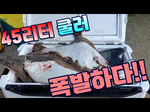 45리터 쿨러 폭발하다.  - 2021.11.1 전북 부안 격포항 생새우 외수질