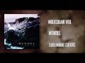 Miniature de la vidéo de la chanson Moleculair Veil