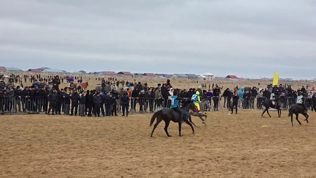 Зураат байрамы Нокис Maxtumquli ofy