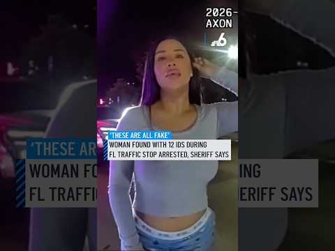 Woman found with 12 IDs during Florida traffic stop arrested, sheriff says