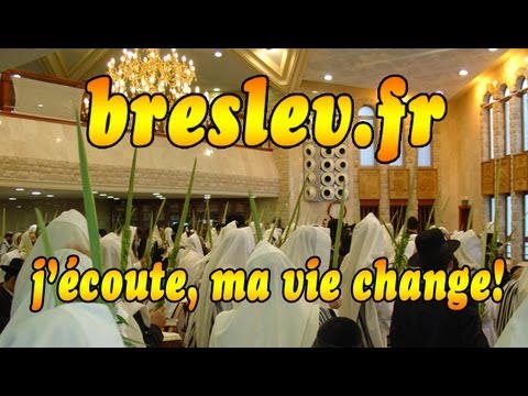 breslev, L'AMBULANCE TOUT TERRAIN, R. Ifrah