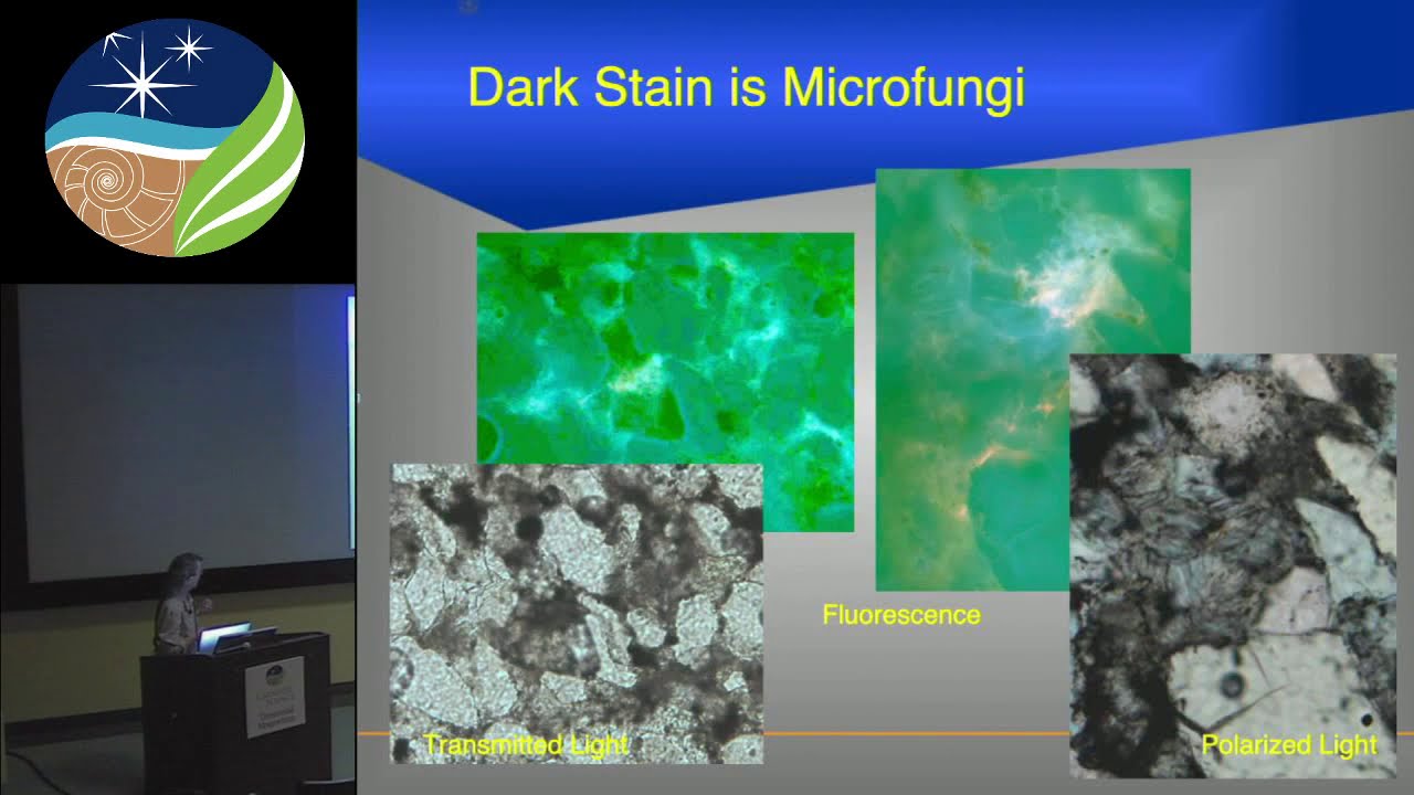 Geophysical Laboratory Seminar Series - Cassie Conley