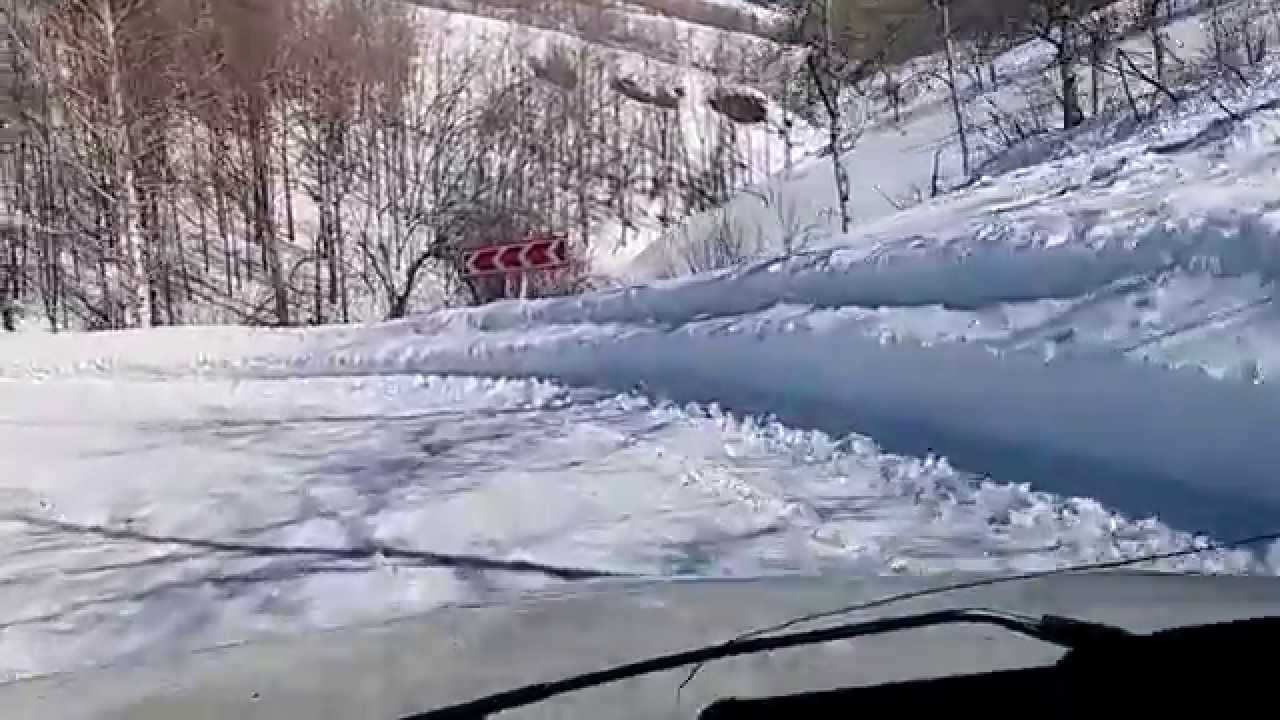 Грант на пасеку