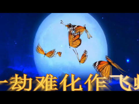 不可說 🦋🦋霍建華 & 趙麗穎