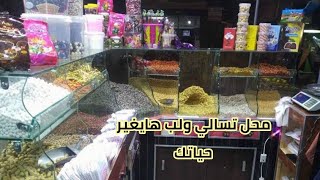 مشروع مقله لب وتسالي من الألف للياء مشروع سهل ومربح جدا