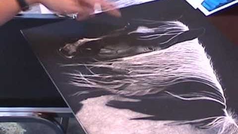 Scratchboard Workshop July 2010 - 01D