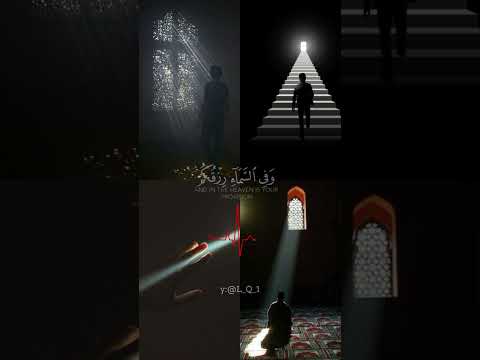 وفي الارض ايات للموقنين وفي انفسكم افلا تعقلون اسلام صبحي سورة الذاريات  اسلام صبحي