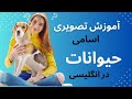 آموزش تصویری اسامی حیوانات در انگلیسی 