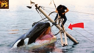 Why Are Orca&#39;s Suddenly Out For Revenge? | Pet Spot