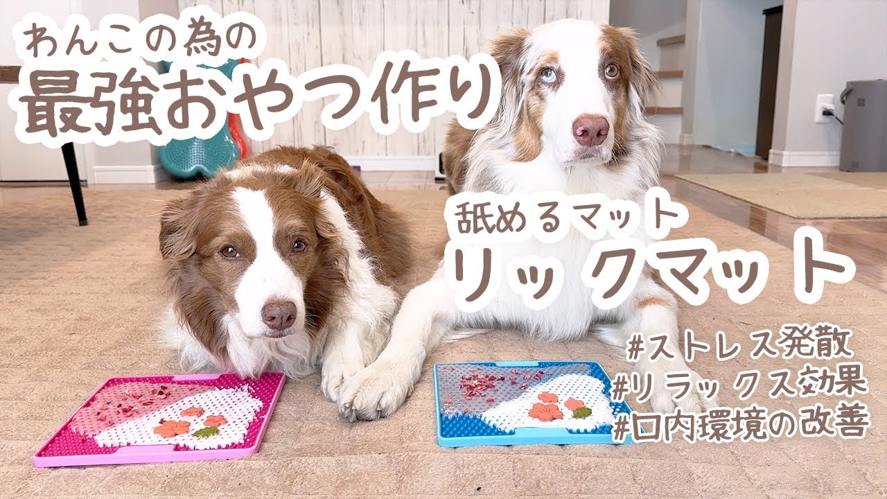 リックマットでストレス解消になる最強長持ちおやつを作っていくよー！！【ストレス解消・口腔ケア】