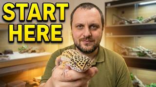 LEOPARD GECKOS: The Complete Care Guide | Everything You Need to Know screenshot 3