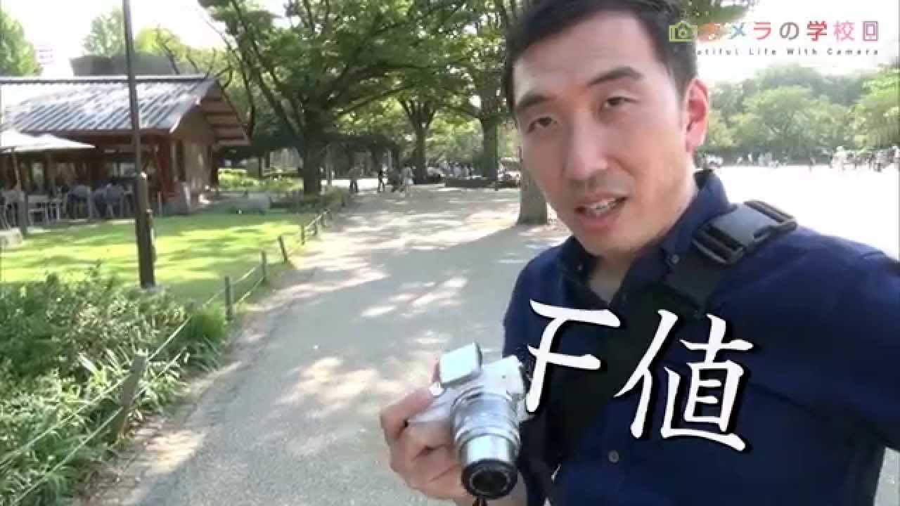 初心者 雑草すらアートになるプロの技 背景ボケ の作り方 講座 Youtube 初心者 雑草すらアートになるプロの技 背景ボケ の作り方 講座 Youtube