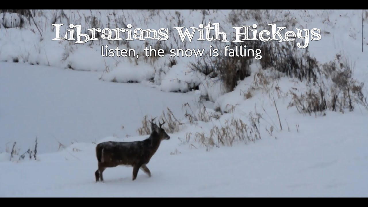 Librarians With Hickeys: "Listen, The Snow Is Falling" (Official Music Video)