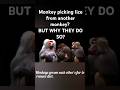 Do MONKEYS Have a Dirty Little Secret?