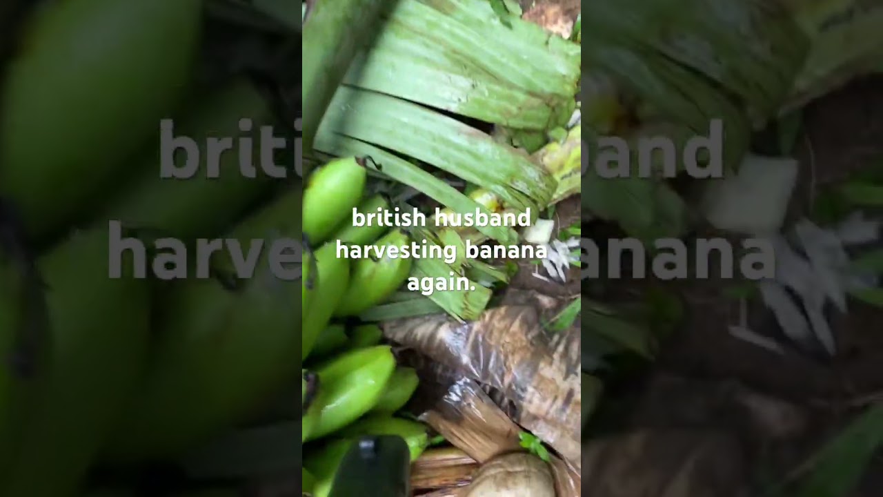 british pilipina couple 