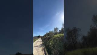 Biodynamic wines and Focaccia, a day in Chianti