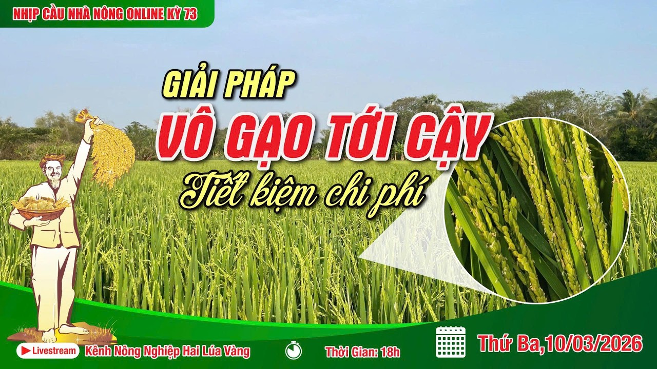 LIVESTREAM NHỊP CẦU NHÀ NÔNG KỲ 73: GIẢI PHÁP VÔ GẠO TỚI CẬY TIẾT KIỆM CHI PHÍ
