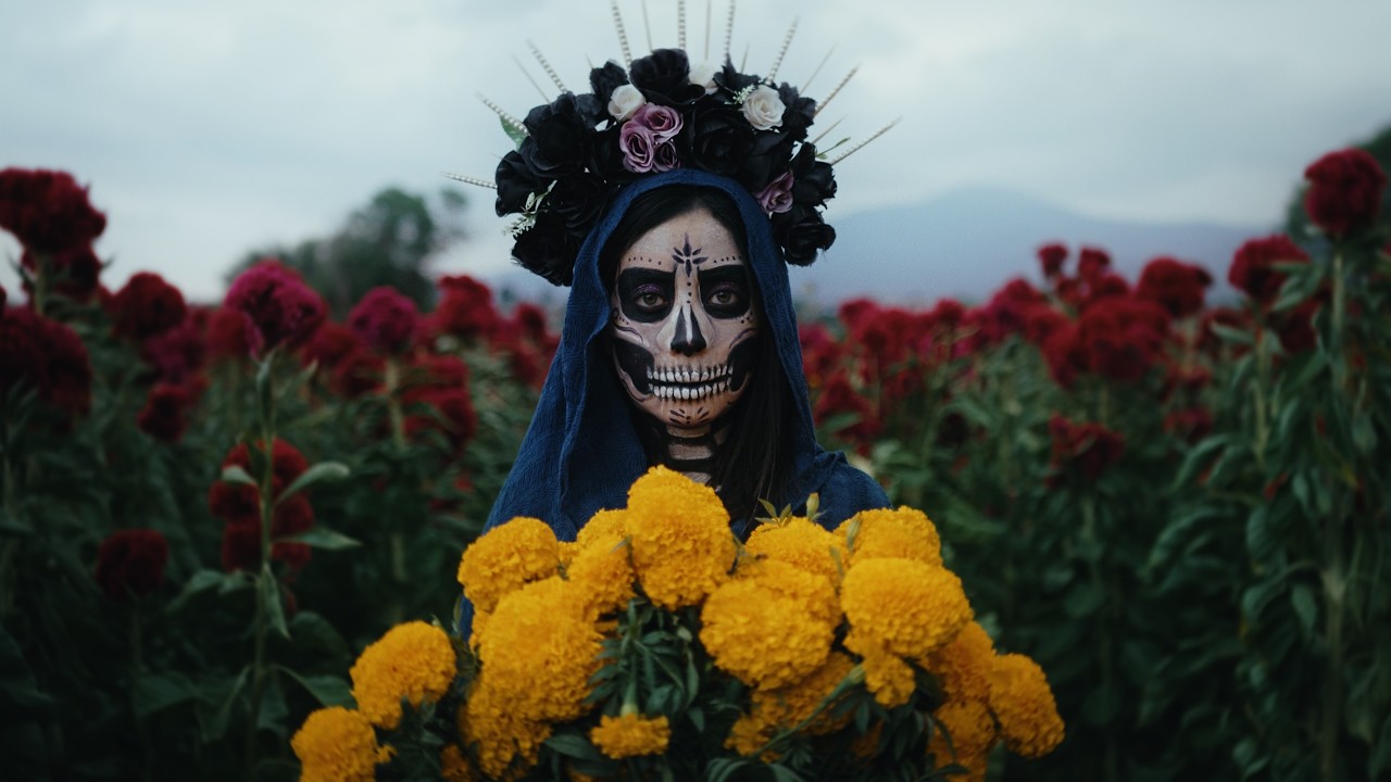 Niklas Paschburg - Oaxaca De Juárez (Official Music Video) - YouTube