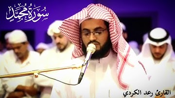 "فَاعلَمْ أنَّهُ لا إلَه إلَّا الله واستغفِر لذنبِكَ" ترتيل عذب آسر من سورة محمد - القارئ رعد الكردي