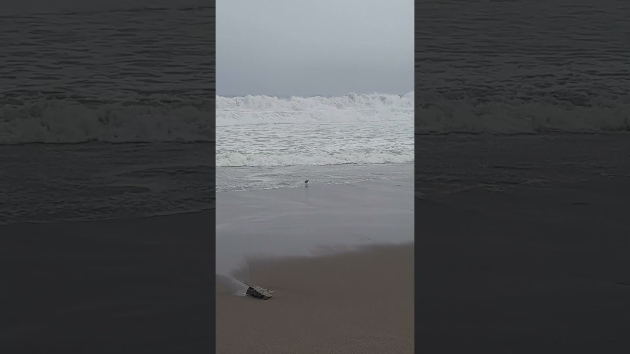 Playa Venecia V.E.S - Lima 