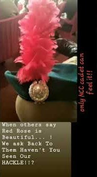 NCC DAY whatsapp status 2020