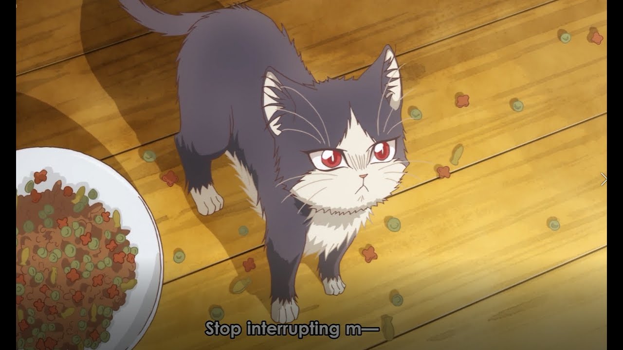 同居人はひざ、時々、頭のうえ 8話 My Roommate Is a Cat 8 Doukyonin wa