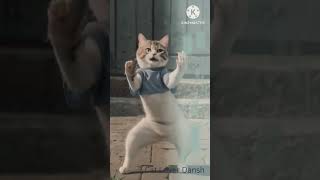 Cute Puppy Crazy Dancing