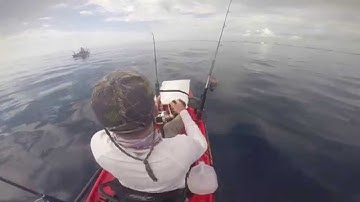 Vertical Jigging For Shark Bait