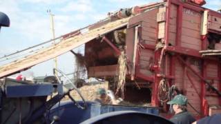 Great Dorset steam Fair Threshing 2011.